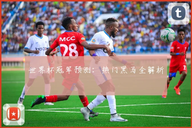 世界杯冠军预测：热门黑马全解析