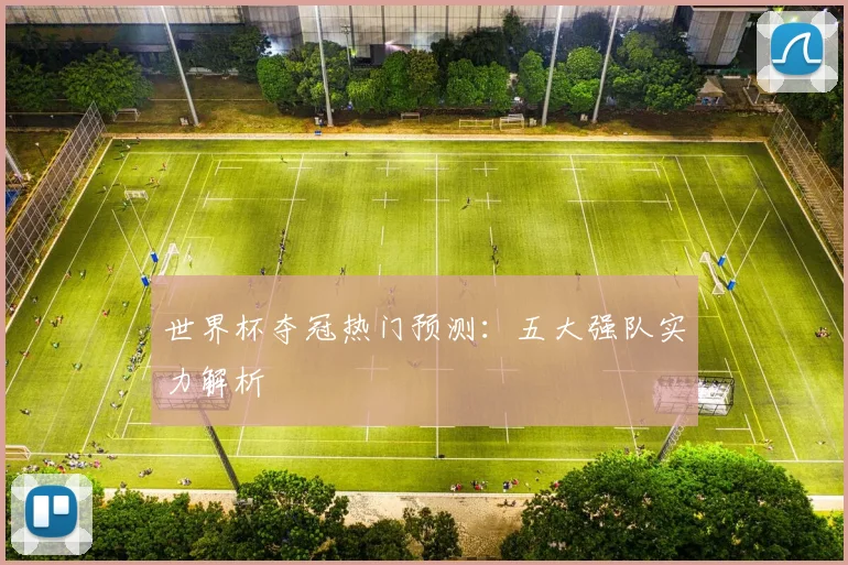 世界杯夺冠热门预测：五大强队实力解析